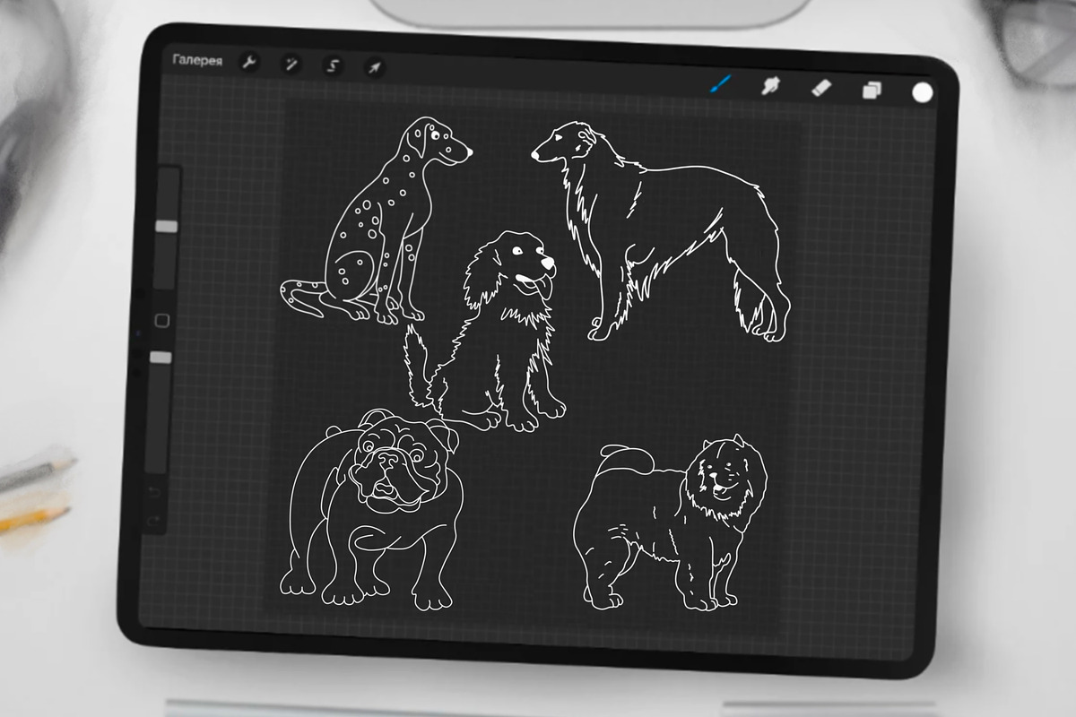 Dog Digital Stamps, a Graphic by Favorites_Art (Photo 11 of 15)