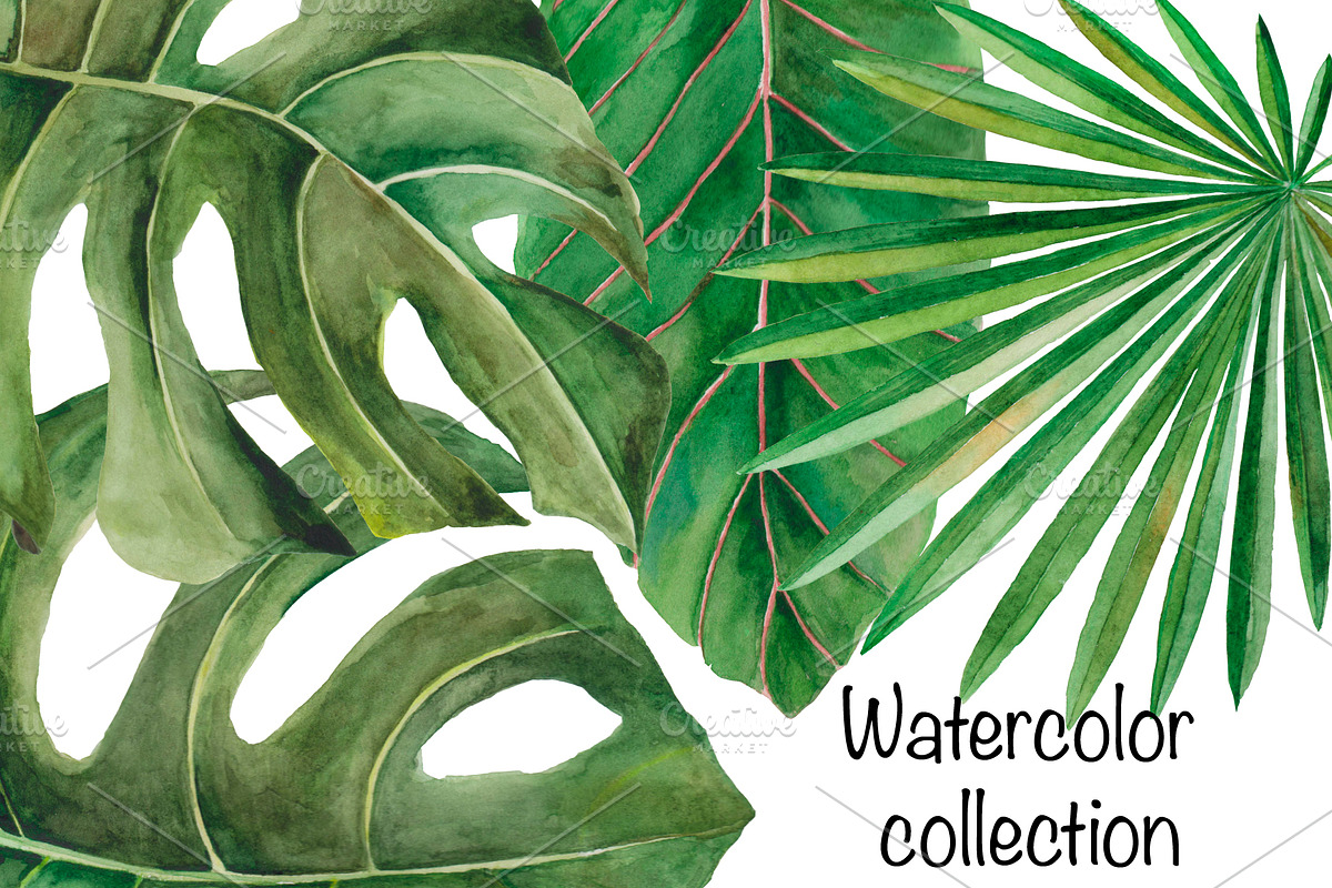 Amazonia. Tropical leaves, a Decorative Illustration by SaharaArt (Photo 5 of 8)