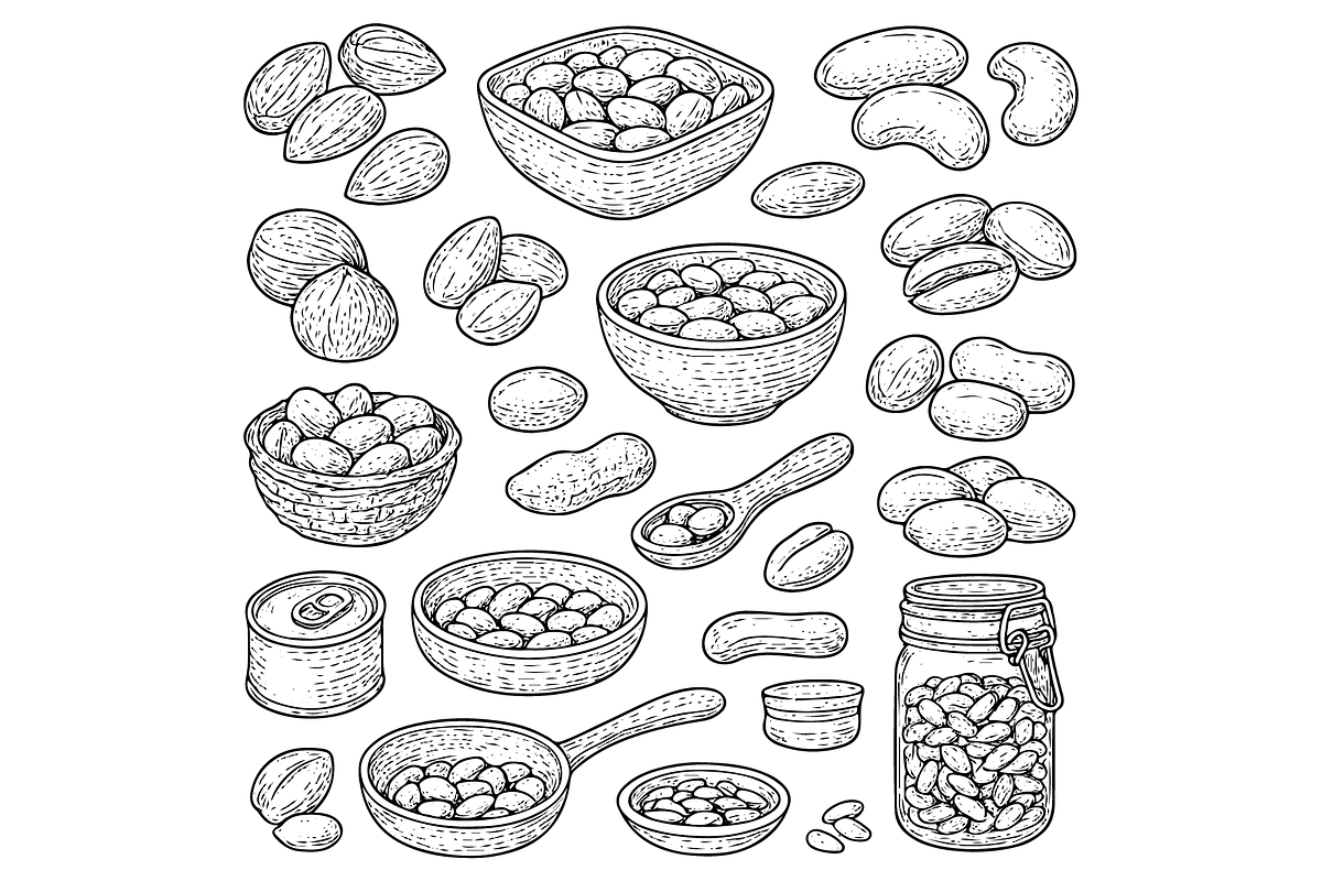 Nuts and Seeds in Bowls and Jars, an Object Graphic by RT Studio (Photo 1 of 3)