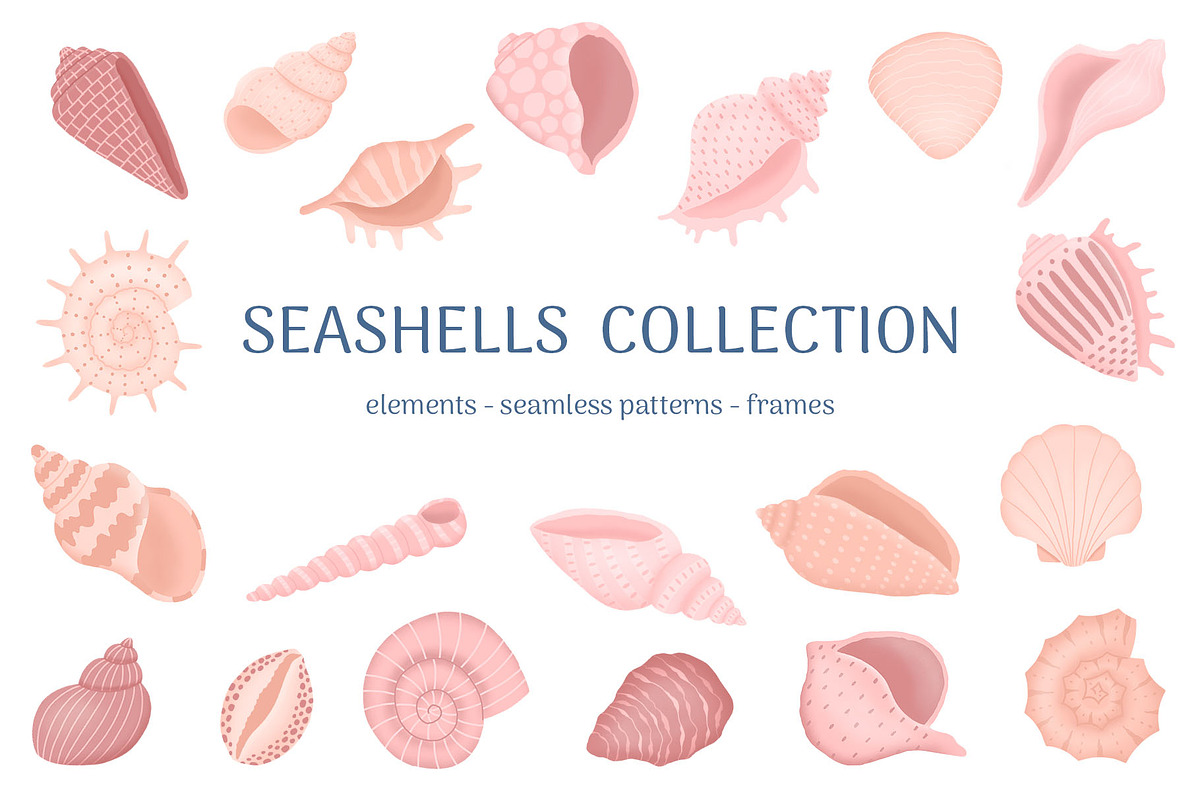Seashells Collection, an Object Illustration by yarynabo (Photo 1 of 14)