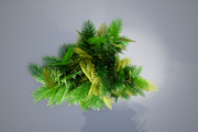 Pinanga coronata, an Environmental 3D Model by AndrewWhite (Thumbnail 10 of 25)