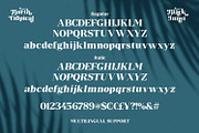Borth Tropical Serif, a Serif Font by Black Junst (Thumbnail 6 of 13)