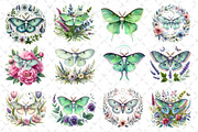 Botanical Floral Luna Moth Clipart, an Illustration by Dream Creation (Thumbnail 4 of 4)