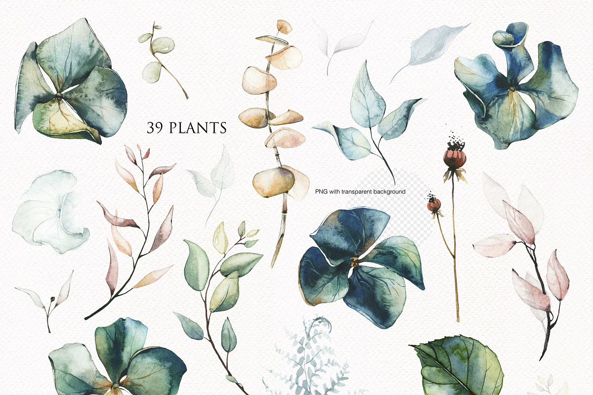Dreamy Nature -watercolor collection, a Decorative Illustration by Khrys.art (Photo 2 of 16)