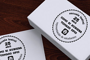 Teco Serif Light, a Serif Font by Gaslight (Thumbnail 2 of 5)