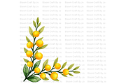 Australian Wildflower- Golden Wattle, a Decorative Illustration by Bloom Craft Creations (Thumbnail 3 of 10)