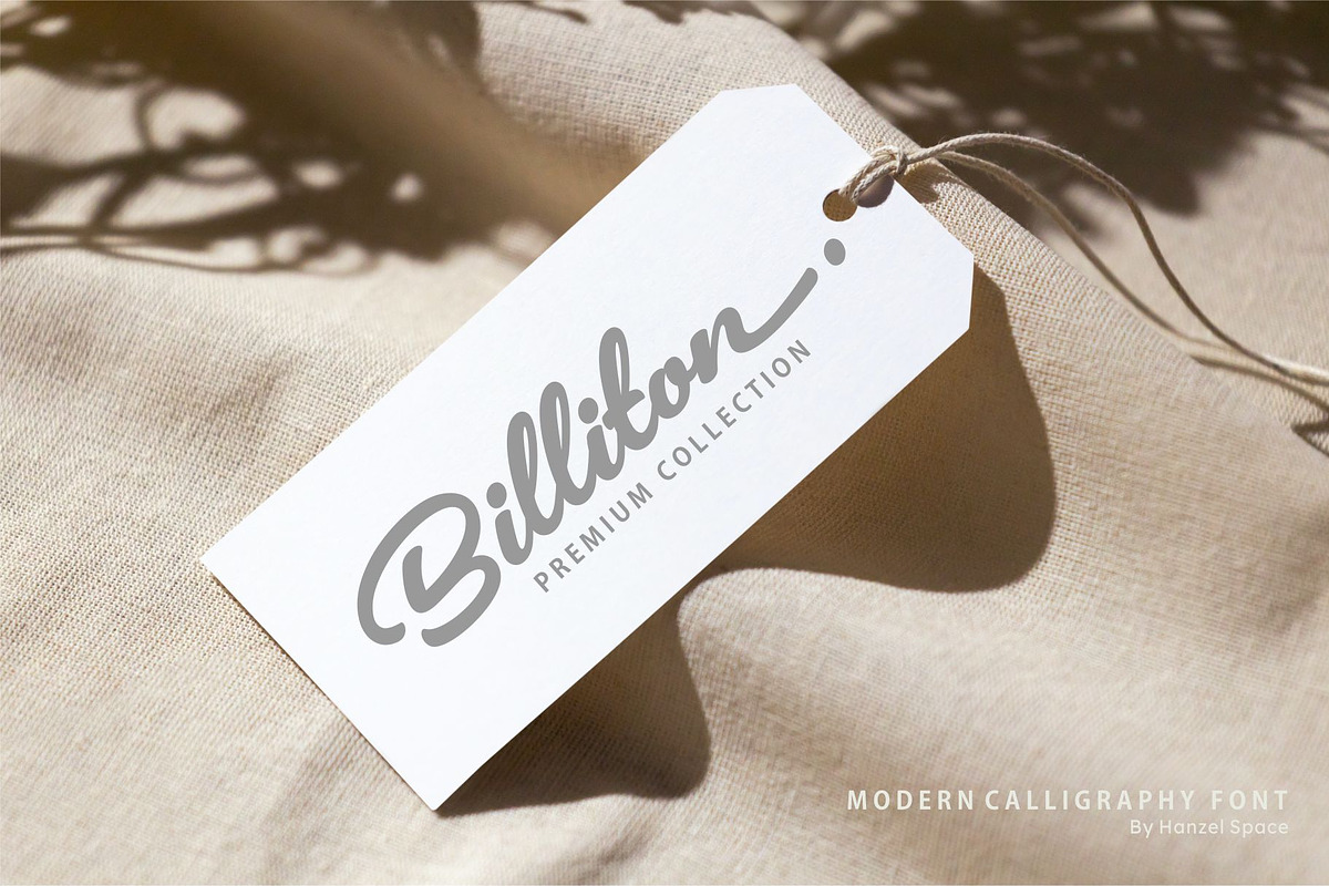 Brickell – Modern Calligraphy Font, a Script Font by HanzelSpace Studio (Photo 4 of 8)