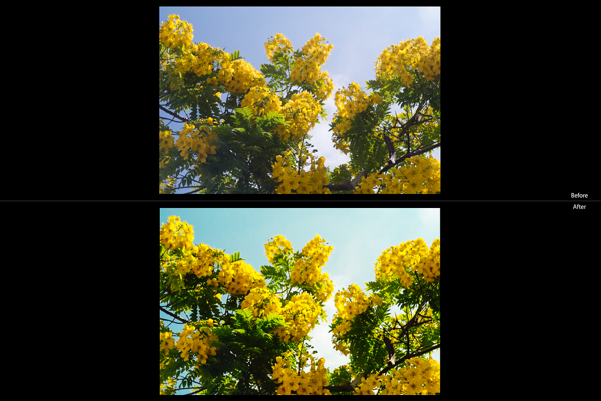 Sunrise Valley | Lightroom Preset, a Plug-in Add-On by Always Here... (Photo 3 of 5)