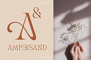 TAN - VIVRE LIBRE, a Serif Font by TanType (Thumbnail 13 of 17)