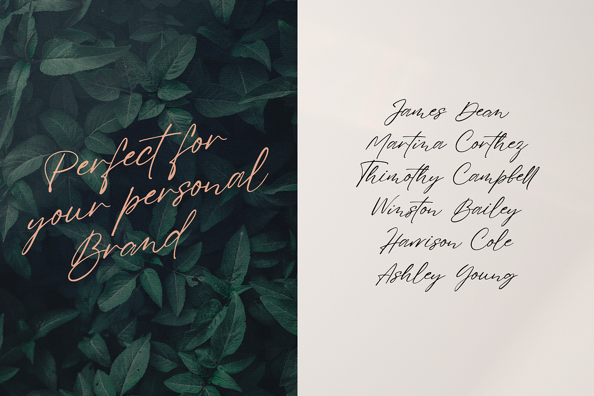 Sign That - Signature font, a Script Font by VP Fonts (Photo 6 of 20)