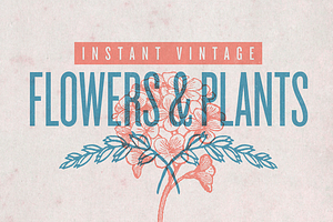 FLOWERS & PLANTS