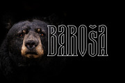 Baroša, a Serif Font by NREY (Thumbnail 2 of 10)