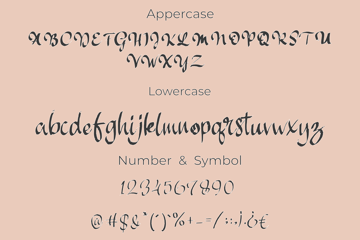 Scooter, a Script Font by cocodesign (Photo 5 of 6)