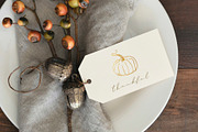 Pumpkins. Graphic collection, an Object Graphic by Vera●Suleimanova (Thumbnail 2 of 14)