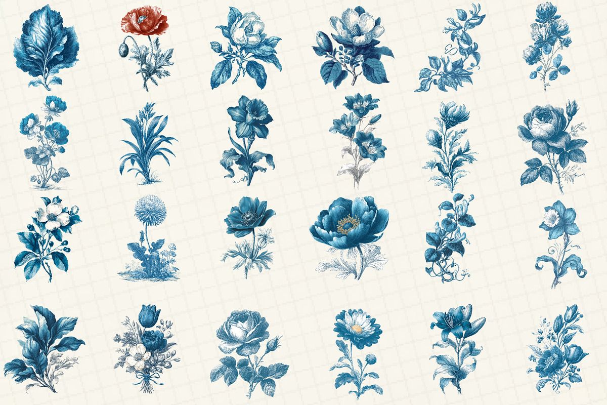 Vintage Botanica Clipart Set, an Illustration by DreamCafeArt (Photo 2 of 6)