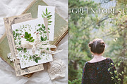 GREEN FOREST watercolor collection, an Object Illustration by long summer (Thumbnail 10 of 17)