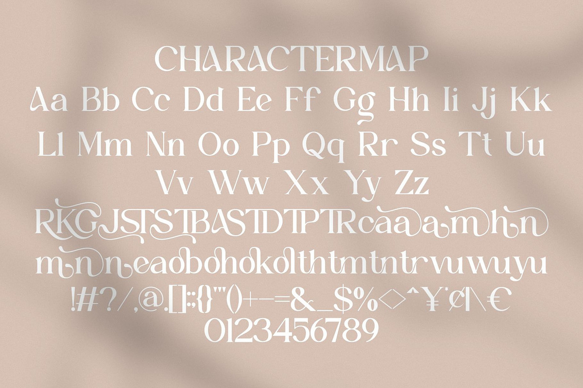 Serohya || Modern Minimalist Serif, a Serif Font by Ermedia Studio (Photo 10 of 10)