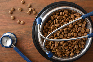 Healthy Canine Nutrition Concept with Kibble, an Animal Photo by Davizro's Market