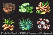 Botanical Wellness Watercolor Png, an Icon by RobertsArt (Thumbnail 2 of 7)