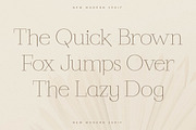 Callidora New Modern Serif, a Serif Font by Storytype Studio (Thumbnail 7 of 15)
