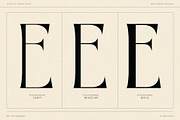 BD PHOSERINÉ | Display Serif, a Serif Font by Brandear Design (Thumbnail 18 of 23)