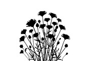 Wildflower Silhouette Vector Set, an Illustration by BIPLOB EXPERT (Thumbnail 5 of 9)