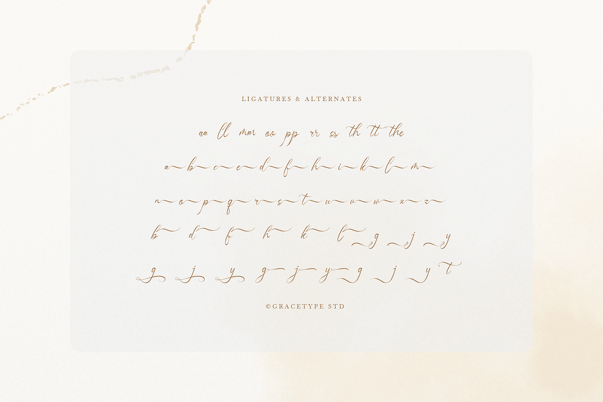 Somtiesay Elegant Calligraphy Script, a Script Font by gracetype_studio (Photo 12 of 12)