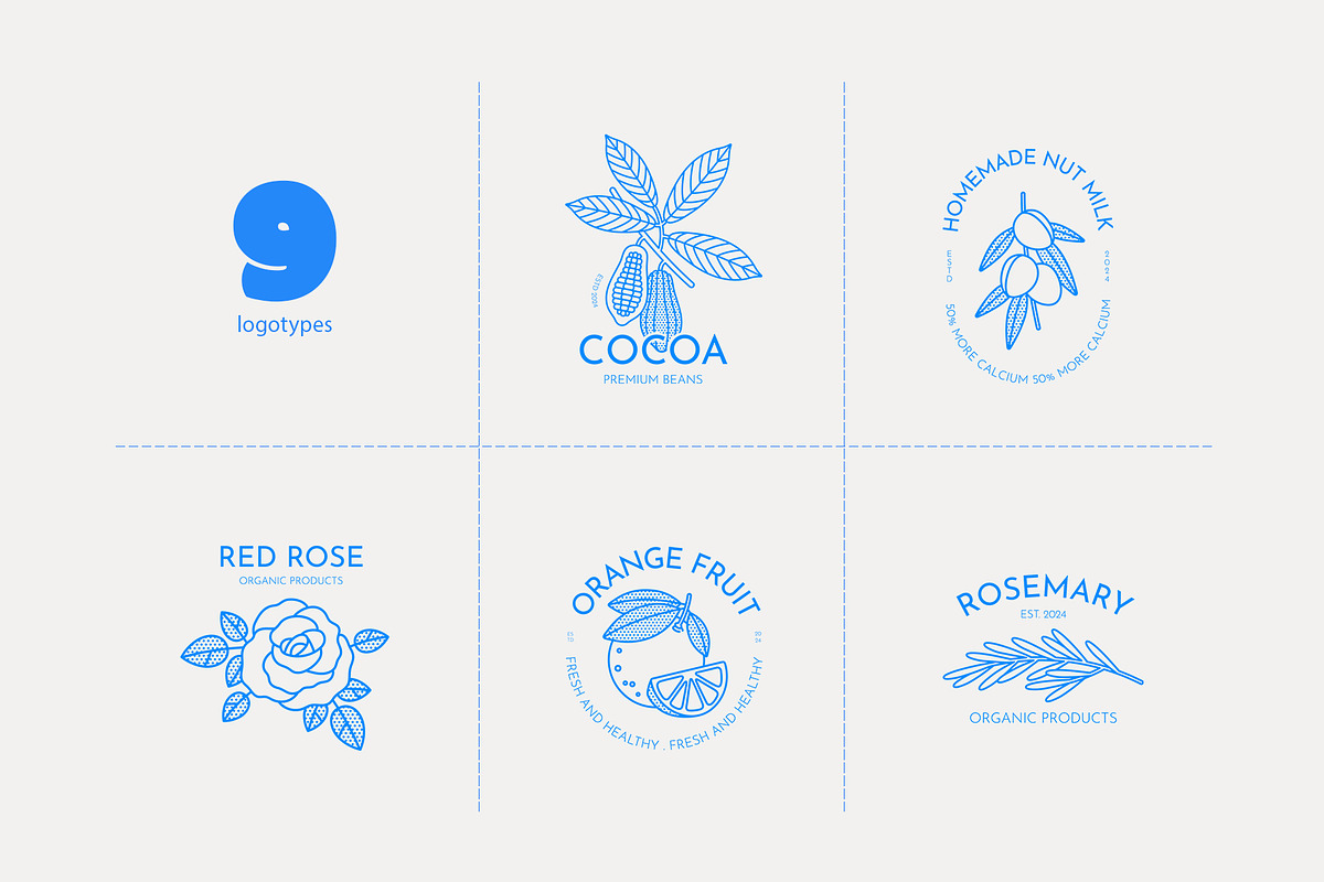 Plants, a Decorative Illustration by Sweet Corner (Photo 3 of 9)