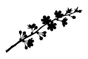 Floral Ornament Silhouette Bundle, an Illustration by BIPLOB EXPERT (Thumbnail 10 of 51)