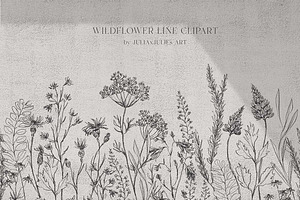 Hand Drawn Wildflowers