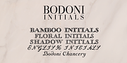 Bodoni Classic Initials, a Script Font by Wiescher-Design (Thumbnail 1 of 6)