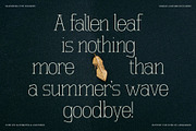 SLTF Winner Baroque - Ligature Serif, a Serif Font by SilverStag Type Foundry (Thumbnail 14 of 30)