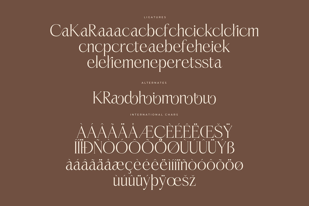 Casselin Modern Serif Font, a Serif Font by Letterena Studios (Photo 14 of 15)