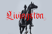 Gold Empire - Blackletter Font, a Blackletter Font by RockboyStd (Thumbnail 4 of 16)