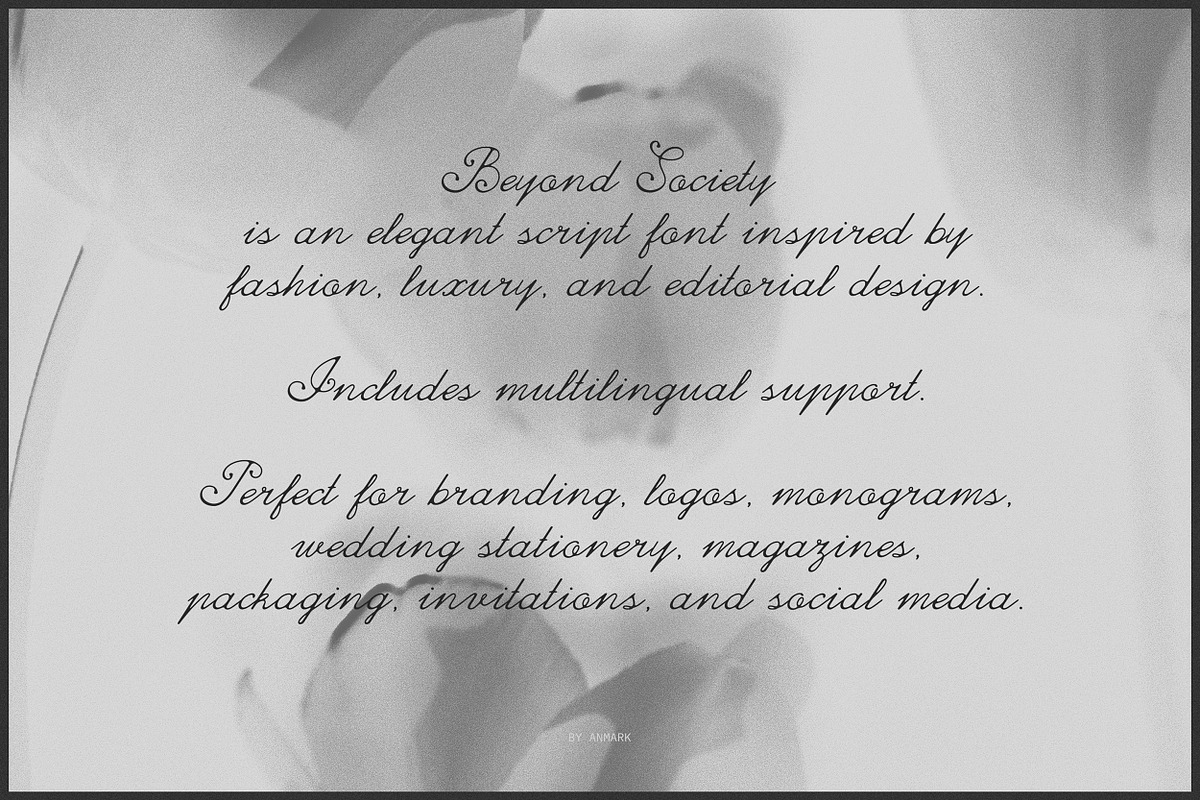 Beyond Society Fashion Script Font, a Script Font by AnMark (Photo 10 of 13)