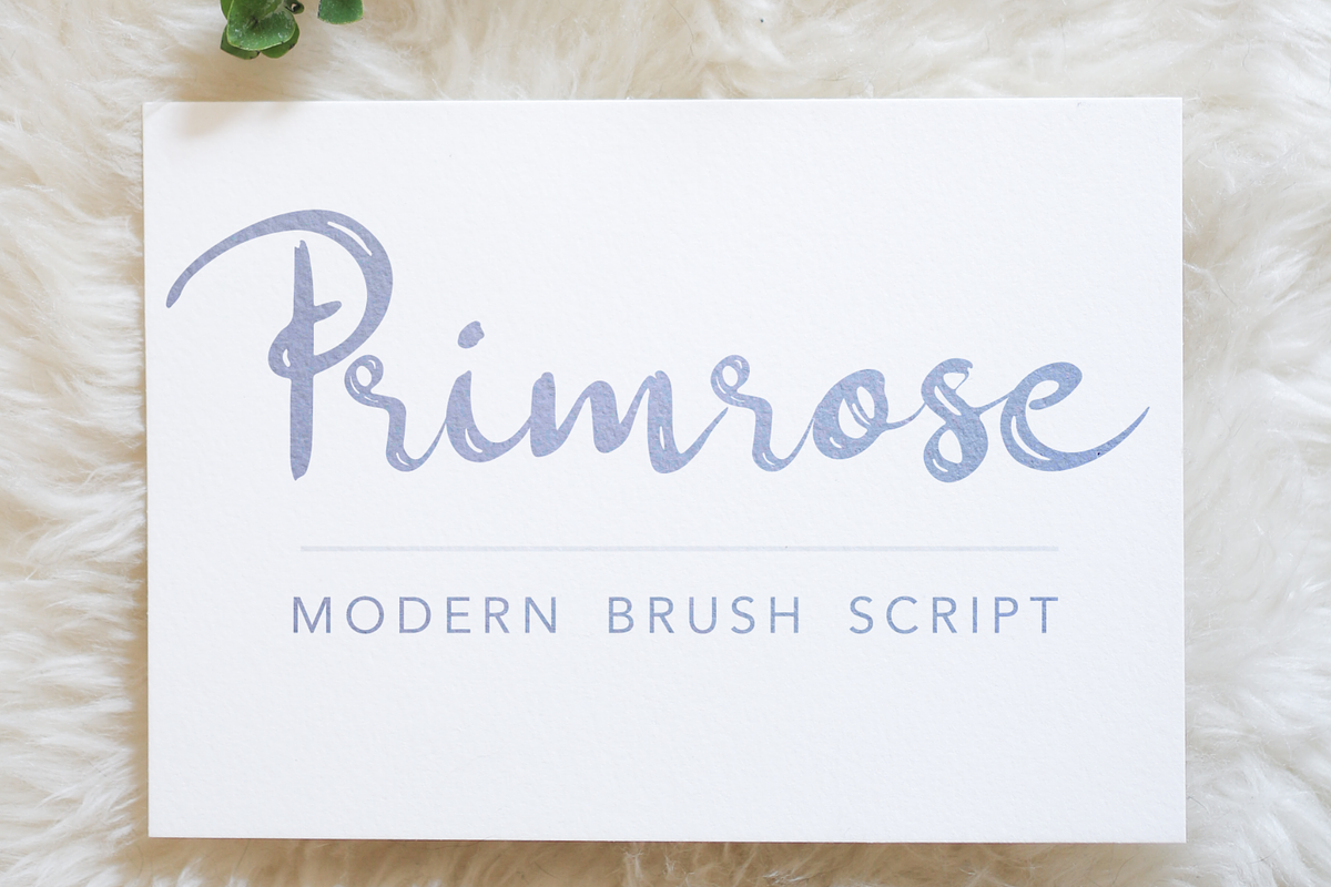 Primrose Modern Brush Script