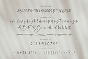 Sean Bettania - Brush Script Font, a Script Font by NTC Graphic (Thumbnail 8 of 9)