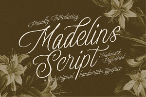 Madelins Script, a Script Font by Littlehand