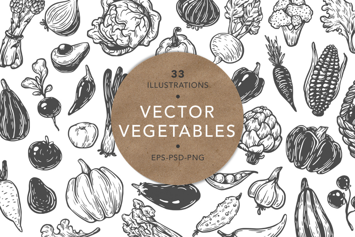 Vector Vegetables. Illustrations., a Food Illustration by Olga Olmix (Photo 1 of 8)