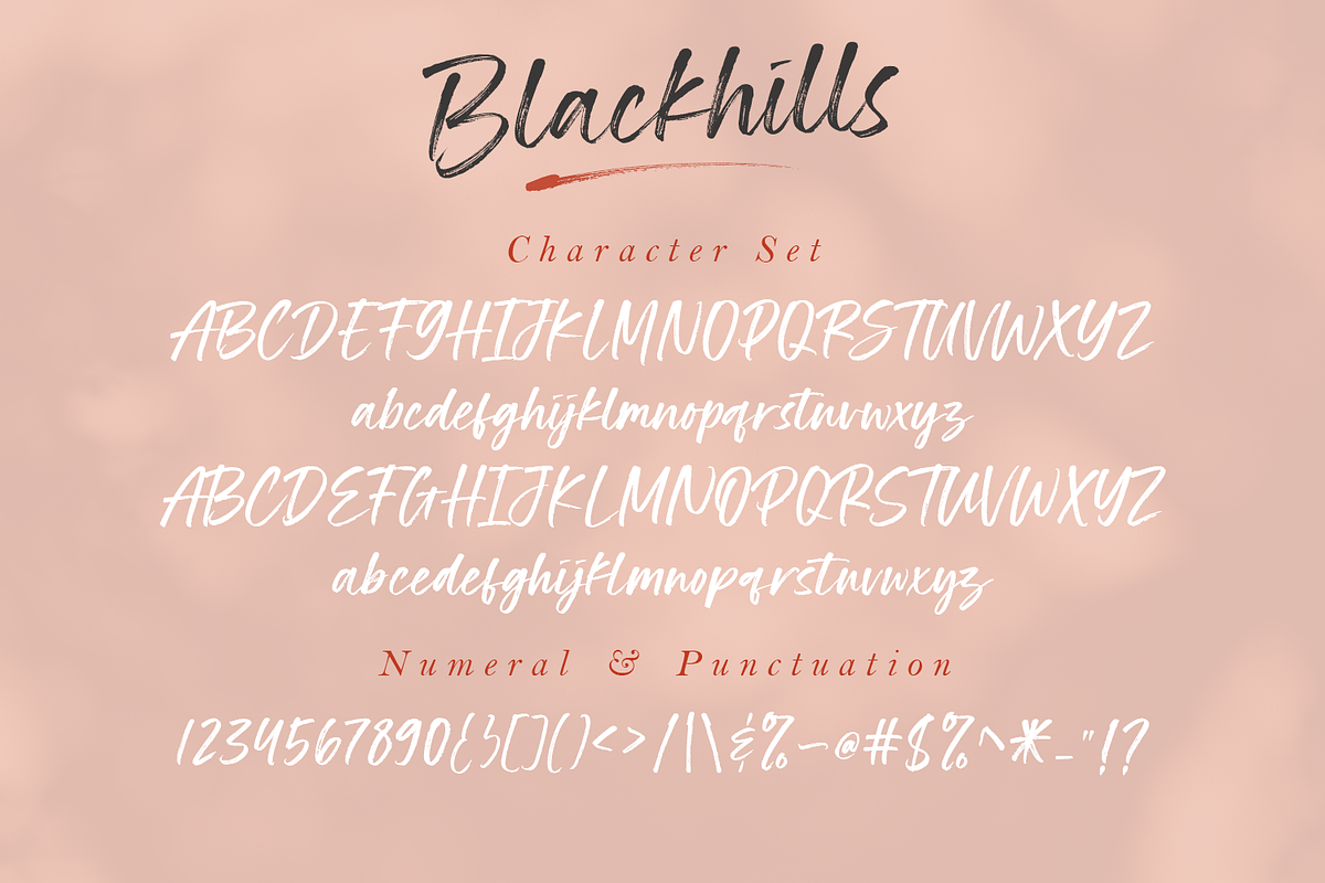 Blackhills - Brush Font, a Script Font by Megi Satyo Widodo (Photo 15 of 15)