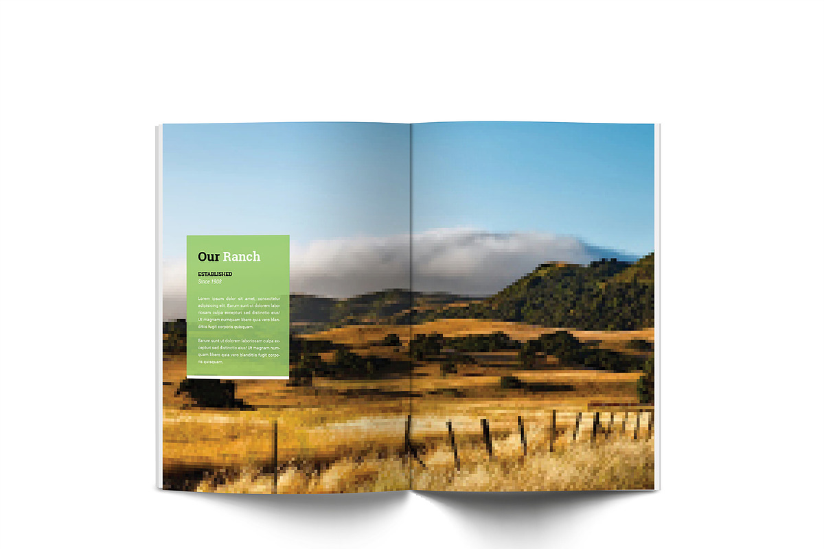 Horse Riding A4 Brochure, a Brochure Template by Incools Stokie (Photo 9 of 13)