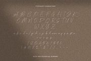 Clandestine Script, a Script Font by Rillatype Studio (Thumbnail 9 of 9)