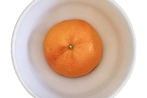 Orange inside white bowl isolated photo, a Food & Drink Photo by DanFLCreativo