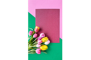 Colorful tulips arranged on a, a Photo by tilialucida