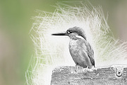 Drawing Photoshop Action, an Action Add-On by LUXDesignStudios (Thumbnail 4 of 6)