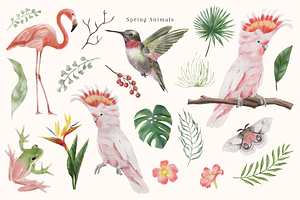 Spring Animals Watercolor