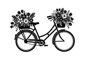 Flower Bicycle Silhouette Bundle, an Illustration by Gaye Art (Thumbnail 30 of 31)