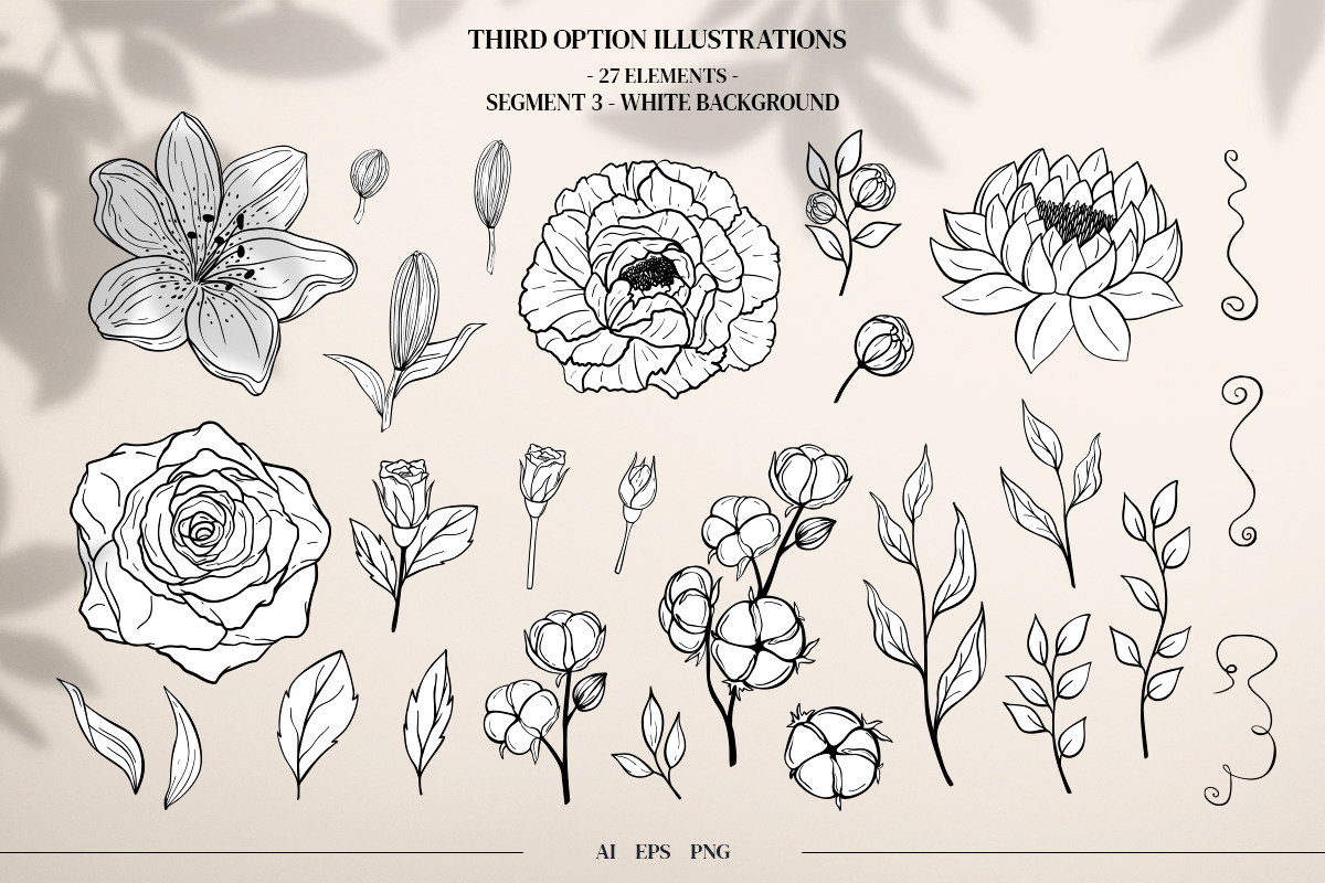 Floral Elements. Seamless Patterns., a Decorative Illustration by Diana Kovach (Photo 4 of 18)