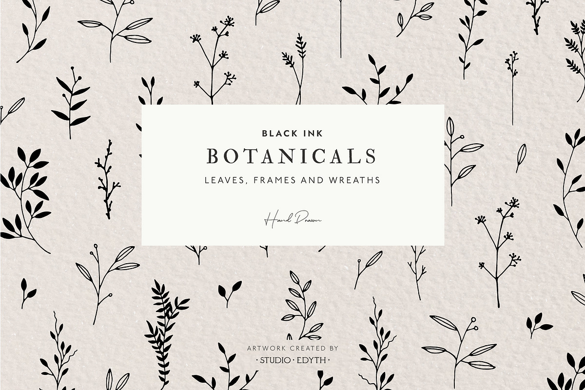 Botanical Illustration Bundle, an Illustration by Studio Edyth (Photo 1 of 8)