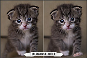 LAB Color Vol. 3 - Lab Variations, a Plug-in Add-On by Raztrend (Thumbnail 29 of 30)